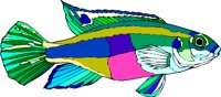 gc000284.wmf