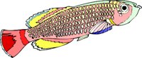 gc000278.wmf