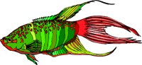 gc000268.wmf