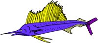 fish7.WMF