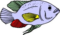 fish2.WMF