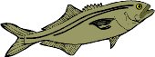fish12.WMF