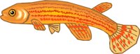 GCDF0647.wmf