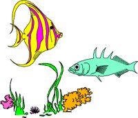 FISH025.WMF