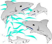 FISH024.WMF