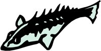 FISH019.WMF