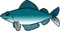 FISH013.WMF