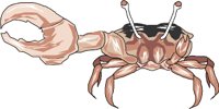 FIDCRAB.WMF