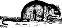 AG000022.WMF