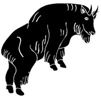bison.WMF