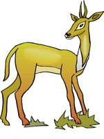 GCAH0665.wmf