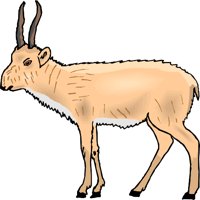 GCAH0643.wmf
