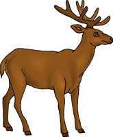 GCAH0598.wmf