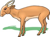 GCAH0574.wmf