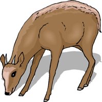 GCAH0558.wmf