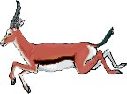 GAZELLE.WMF