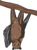 FLYFOX.WMF