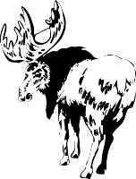 Elk44.WMF