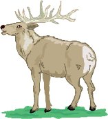 ELKCALL.WMF