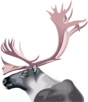 ELK001.WMF