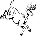 Deer44.WMF