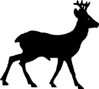 DEERS002.WMF