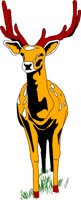 DEER001.WMF