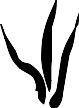 CS81_.WMF