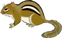 CHIPMUNK.WMF