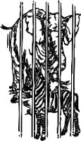 CC001870.WMF