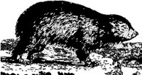CC000556.WMF