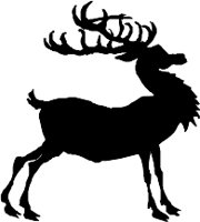 CC000434.WMF