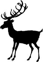 CC000433.WMF