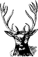 CC000180.WMF