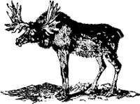 CC000177.WMF