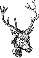 CC000175.WMF
