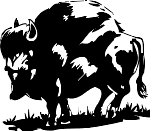 Bufflo44.WMF
