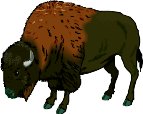 Buffalo5.wmf