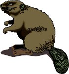 Beaver5.wmf