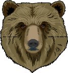 Bear5.wmf