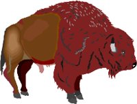 BUFFALO7.WMF
