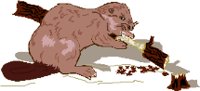 BEAVER.WMF