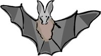 BAT.WMF