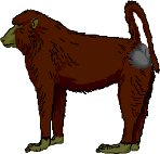 BABOON.WMF