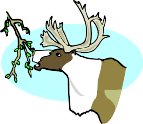 AN21257.WMF