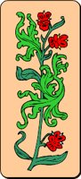 plant093.WMF