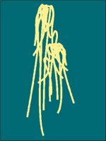 AD001261.WMF