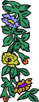 plant273.WMF