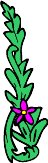 plant249.WMF