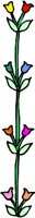 plant173.WMF